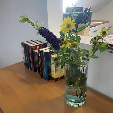 Gluecksgriff, Natur, Ruhig Und Doch Zentral,am Pferdestall, Parkplatz, Waschmaschine, Апартаменты Вольфсбург